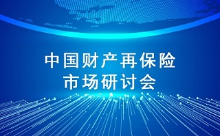 中国财产再保险市场研讨会
