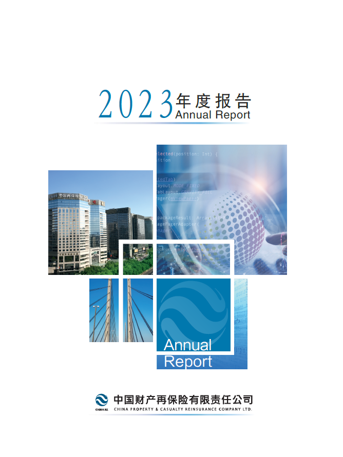 公司2023年度报告