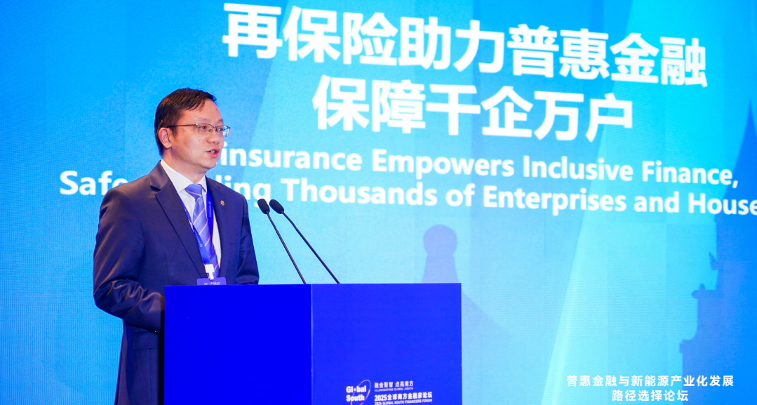 中再产险总经理王忠曜受邀参加2025全球南方金融家论坛