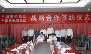 中再集团与中国供销集团签署战略合作框架协...